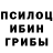 Псилоцибиновые грибы Psilocybe Leopoldo Leyes