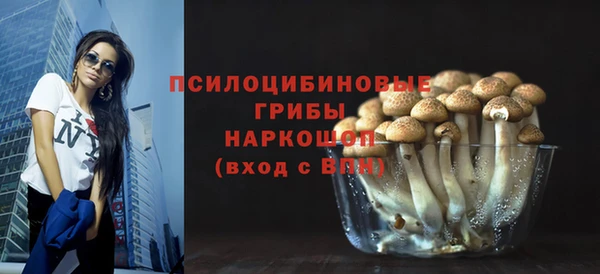 сатива Заводоуковск