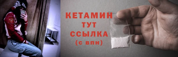 сатива Заводоуковск