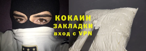 сатива Заводоуковск