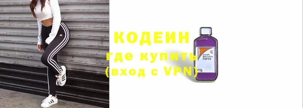 сатива Заводоуковск