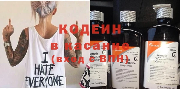 сатива Заводоуковск