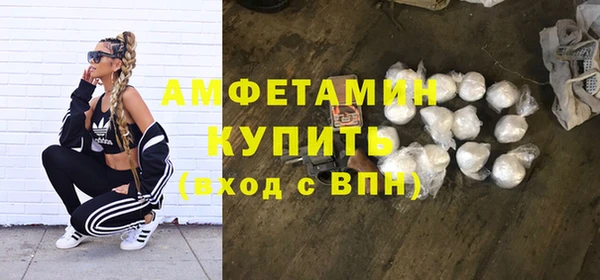 сатива Заводоуковск