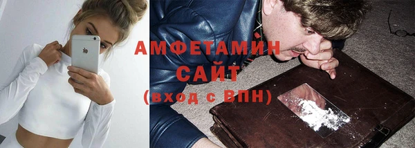 сатива Заводоуковск