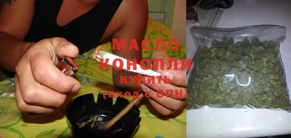 сатива Заводоуковск
